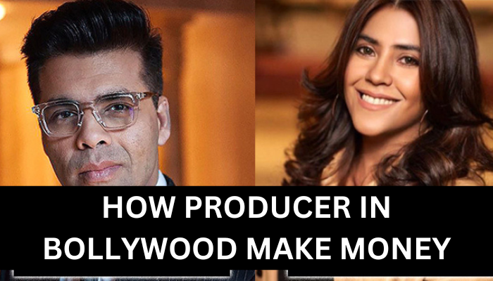 how producer in bollywood make money